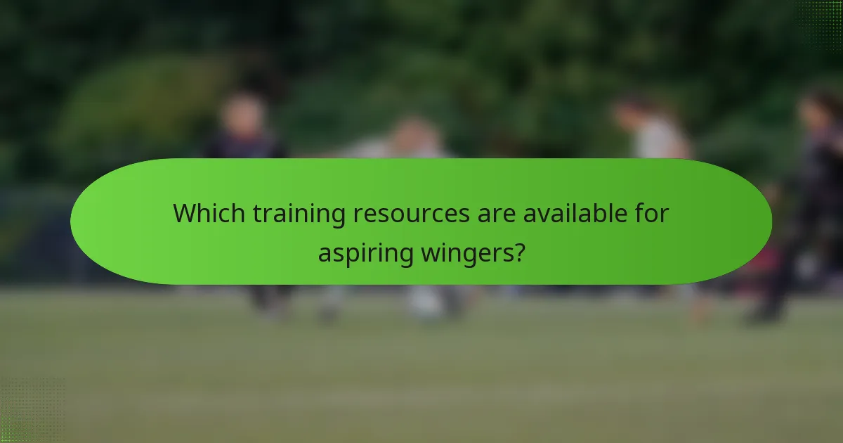 Which training resources are available for aspiring wingers?